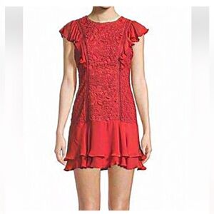 Parker Ruffled Trimmed Lace Dress